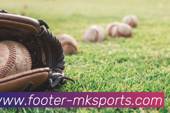 MK体育APP 封面图